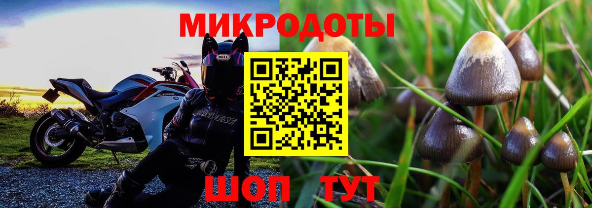 Галлюциногенные грибы Psilocybine cubensis  Вход с VPN  купить закладку  Назарово  Галлюциногенные грибы Cubensis 